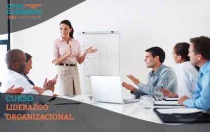 Liderazgo Organizacional